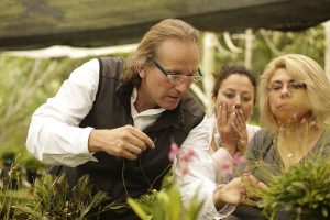 Protocolo de introducción de nuevas plantas a tu casa o invernadero