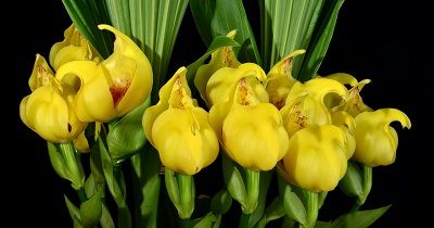 WhatsApp Image 2021-08-24 at 10.13.23 AM