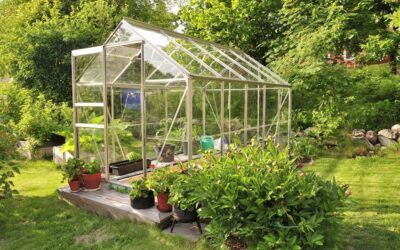 Invernaderos para orquídeas