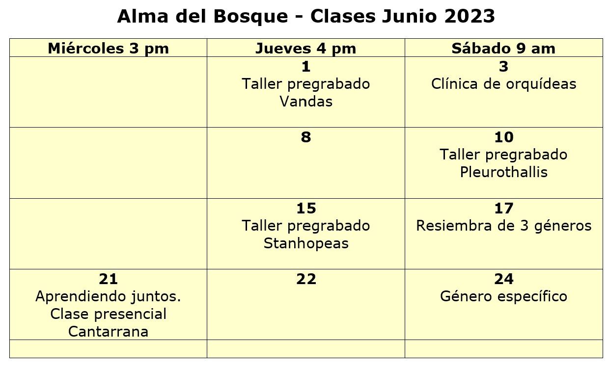 programacion junio