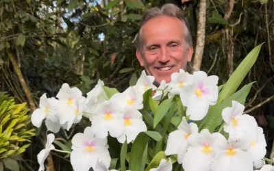 Cómo preparar orquídeas para exposición