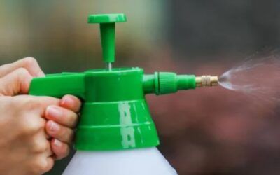 Riego y aplicación de productos en orquídeas