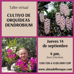 Taller de cultivo de Dendrobium