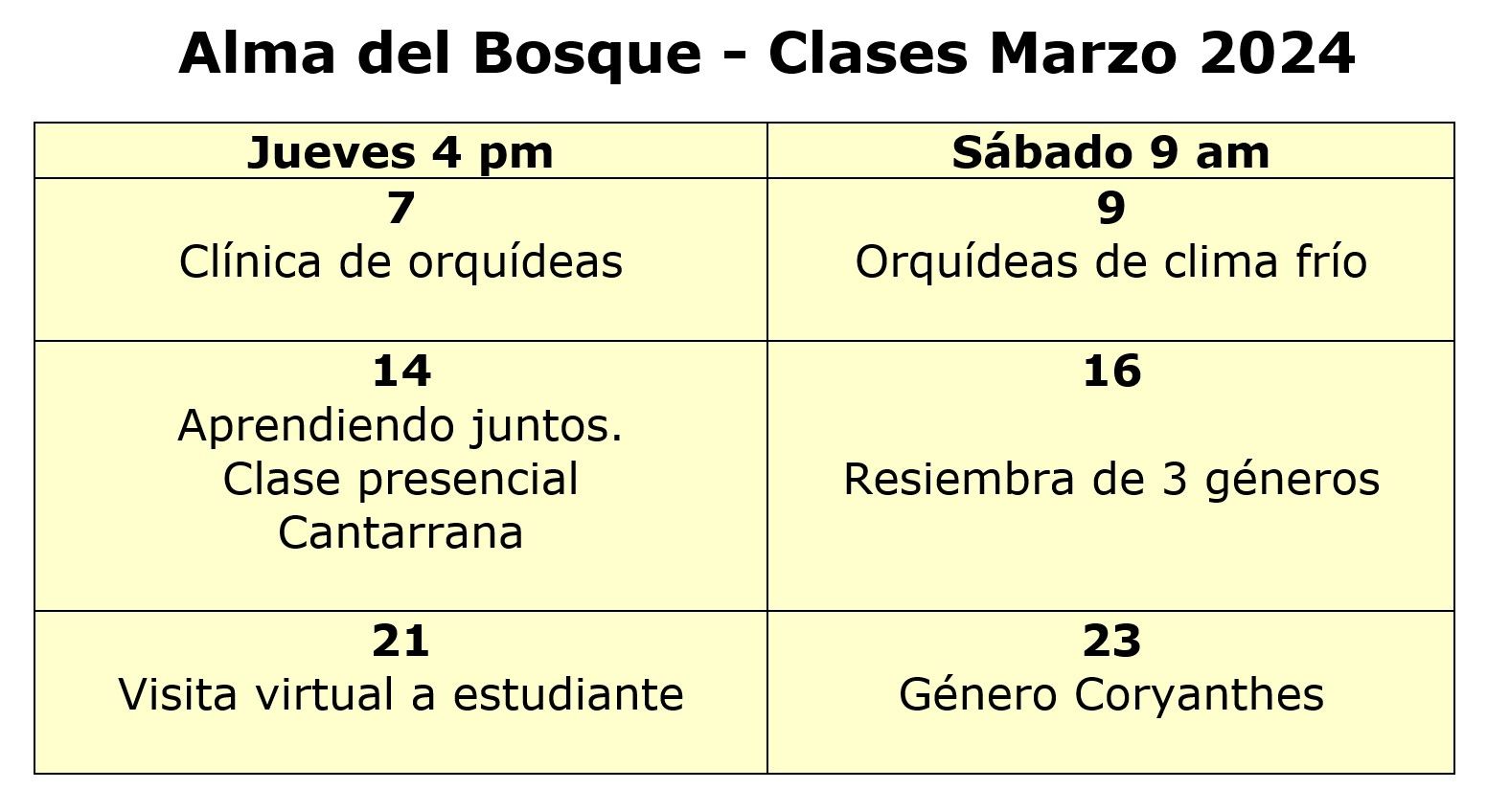 PROGRAMACION MARZO 2024