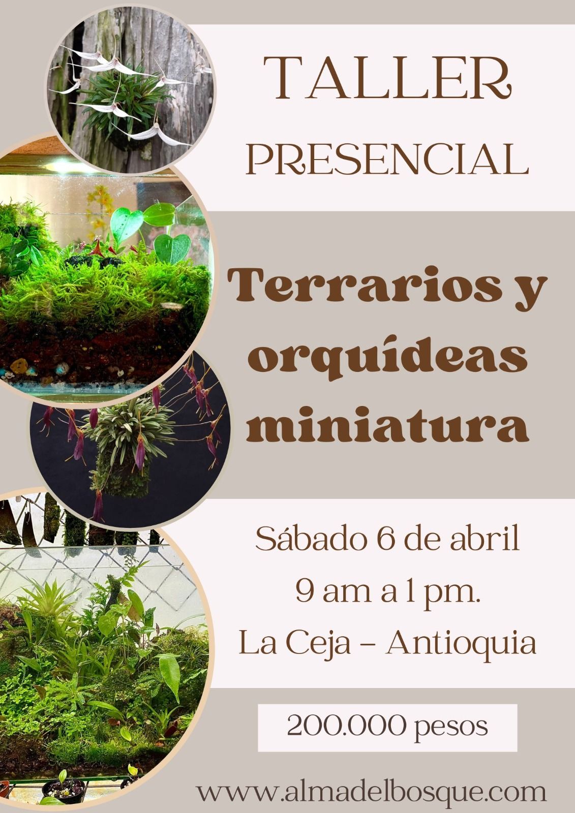 taller presencial 6 abril