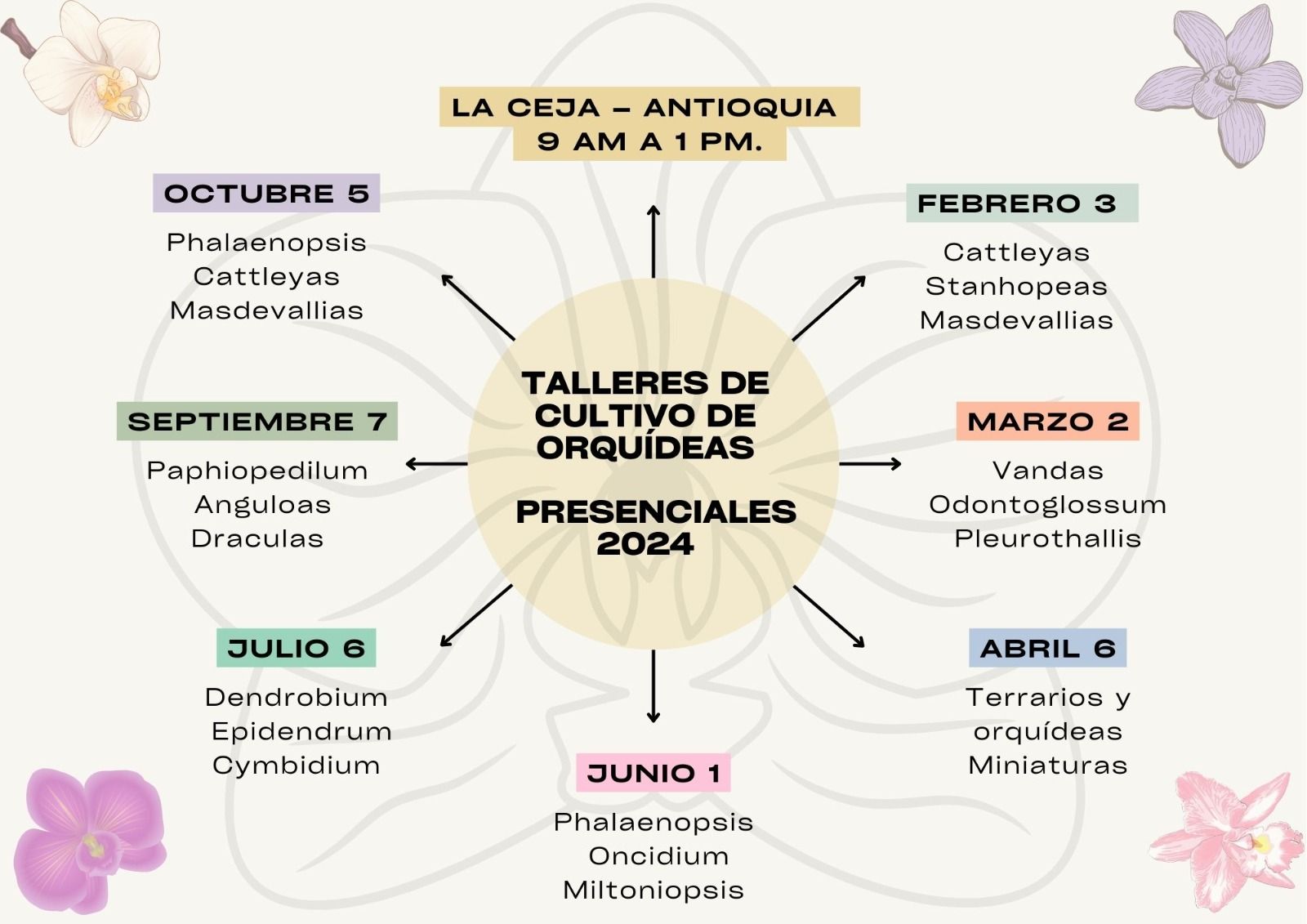 talleres de cultivo de orquideas 2024