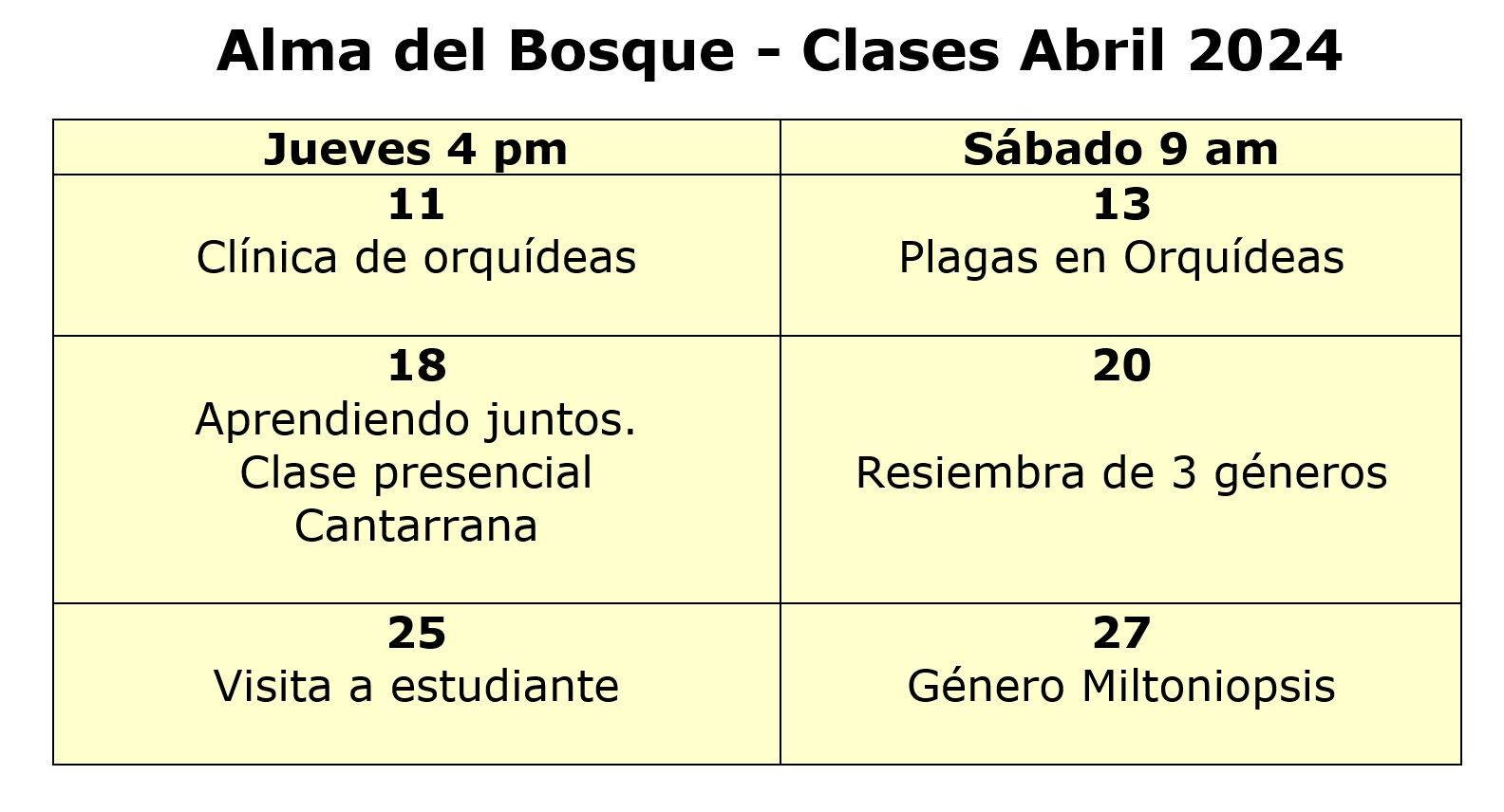 programacion abril 2024