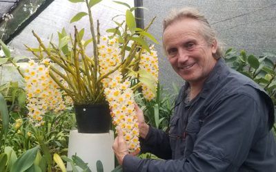 Aprendiendo juntos Clase Presencial