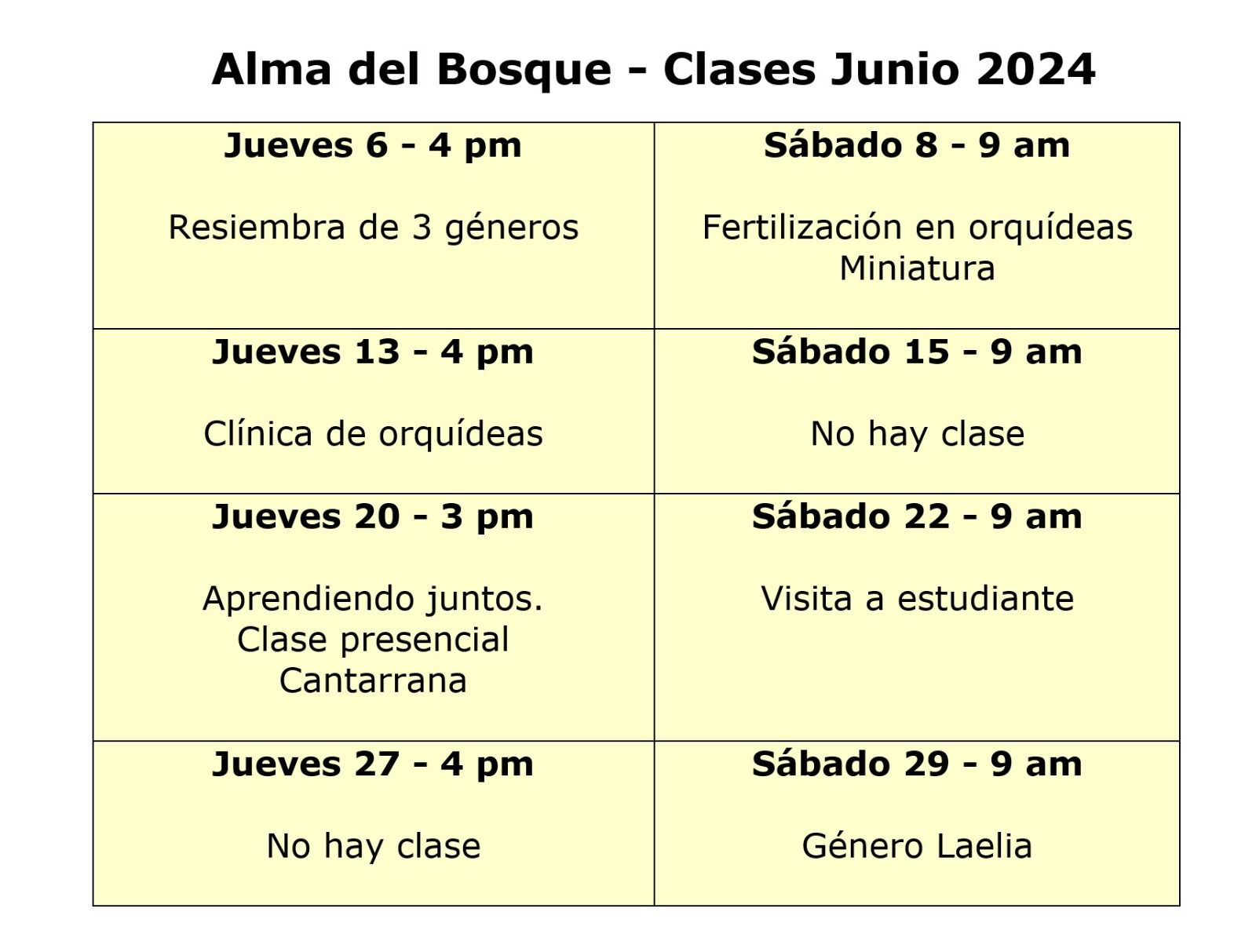 programacion junio 2024