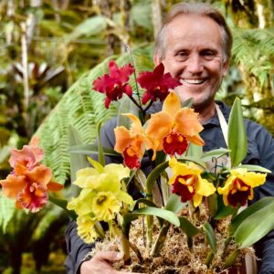 Estructuras de las orquídeas