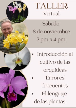Introducción al cultivo de orquídeas - Taller Virtual